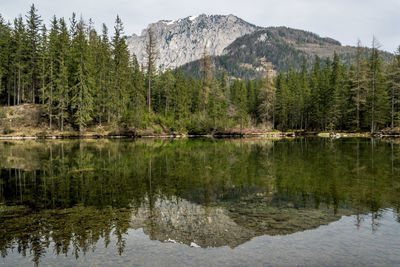 Scenic view of lake by trees against sky