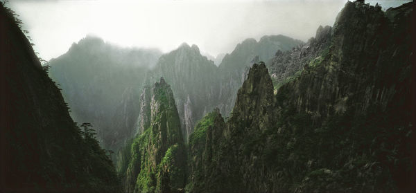 Panoramic shot of trees and mountains against sky