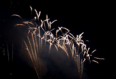Low angle view of fireworks against sky at night