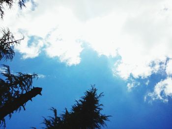 Low angle view of trees against cloudy sky