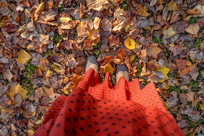 Overhead photo of a red dress and shoes. woman standing on autumn colored leaves.