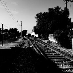 Railroad track along trees