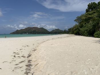 Scenic view of beach against sky