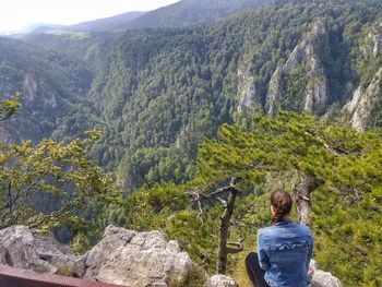 Rear view of man looking at mountains