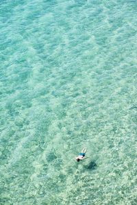 High angle view of man swimming in sea during sunny day