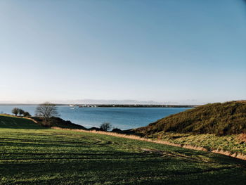 Scenic view of field against clear sky