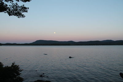 Scenic view of lake against clear sky during sunset