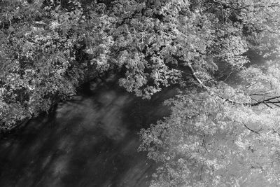 High angle view of river amidst rocks