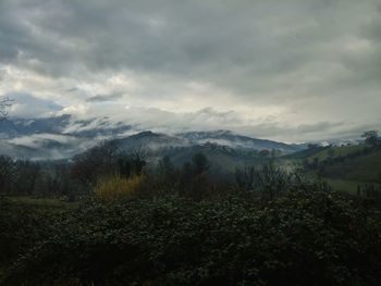 Scenic view of landscape against cloudy sky