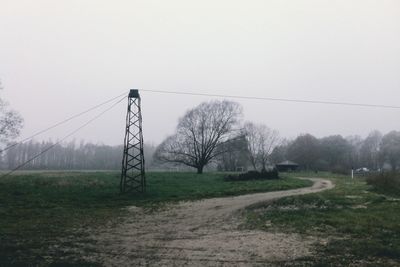 Bare trees on grassy field