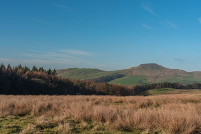 Scenic view of field against blue sky