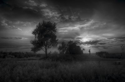 Trees on field against cloudy sky