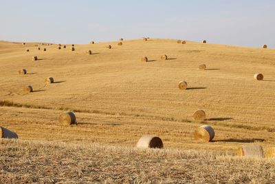 Hay bales on field against sky