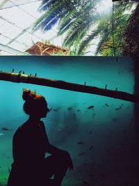 Silhouette of woman in aquarium
