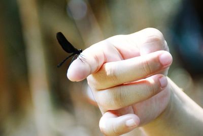 Close-up of cropped hand