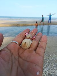 Cropped image of hand holding crab on beach