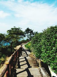 View of narrow stairs along trees