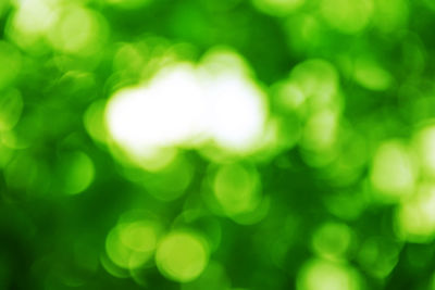 Full frame shot of defocused lights