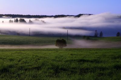 Scenic view of field against sky during foggy weather