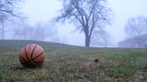 Close-up of ball on field against sky