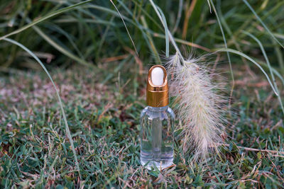 Dropper glass bottle with cosmetic oil or serum on nature background