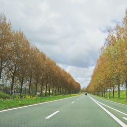 Empty road amidst trees against sky