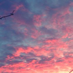 Low angle view of cloudy sky at sunset