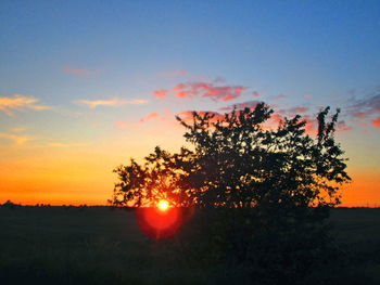 Silhouette tree on field against sky at sunset