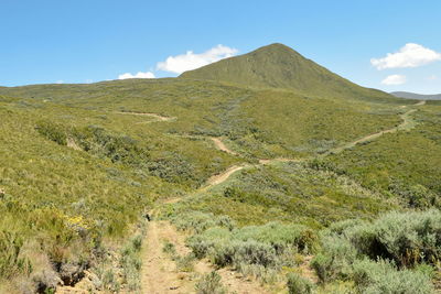 Mountain landscapes at chogoria route, mount kenya national park, kenya