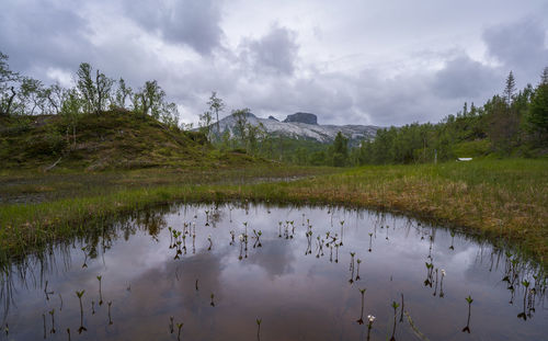 Scenic view of lake against sky