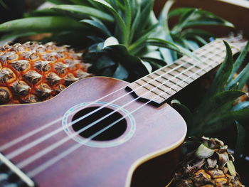 Close-up of guitar