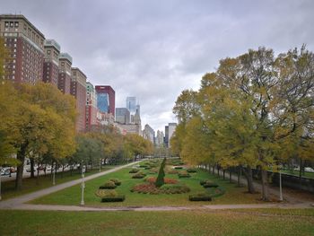 Trees growing in park against sky during autumn