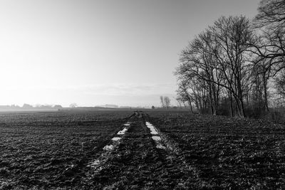 Scenic view of field against clear sky