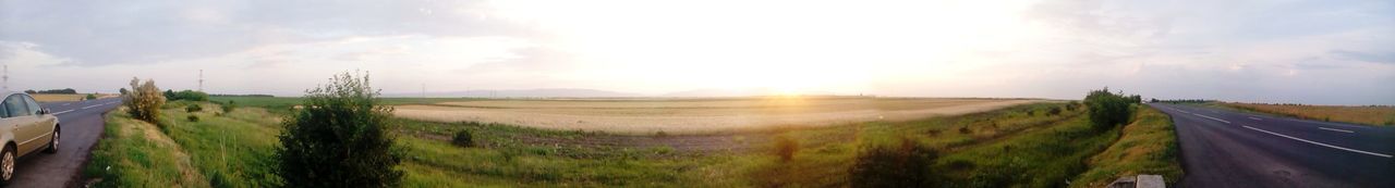Dirt road passing through field