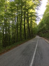 Empty road amidst trees in forest