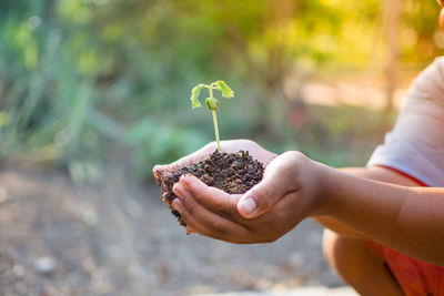 Close-up of hands holding plant