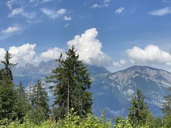 Scenic view of trees against sky