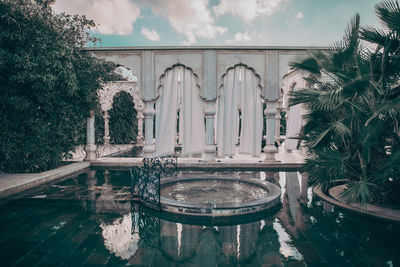 Plants by swimming pool against building