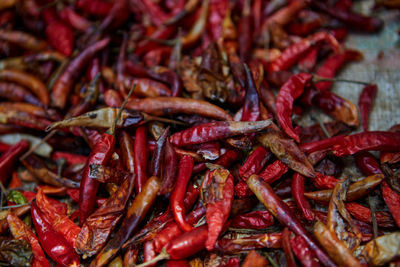 Dried red hot chili pepper