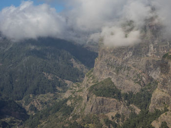 The island of madeira