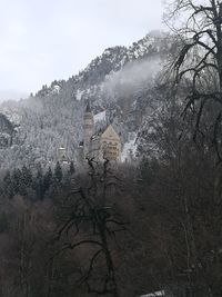 Bare trees and buildings against sky during winter