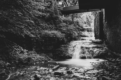 Scenic view of waterfall in forest