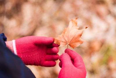 Isolation and loneliness. hands in woolen gloves hold a dried maple leaf 