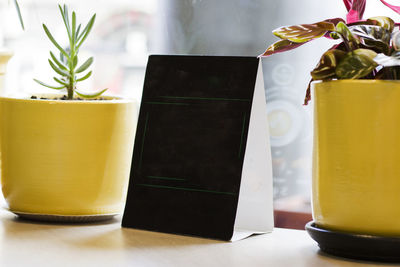 Close-up of potted plant on table and black empty board