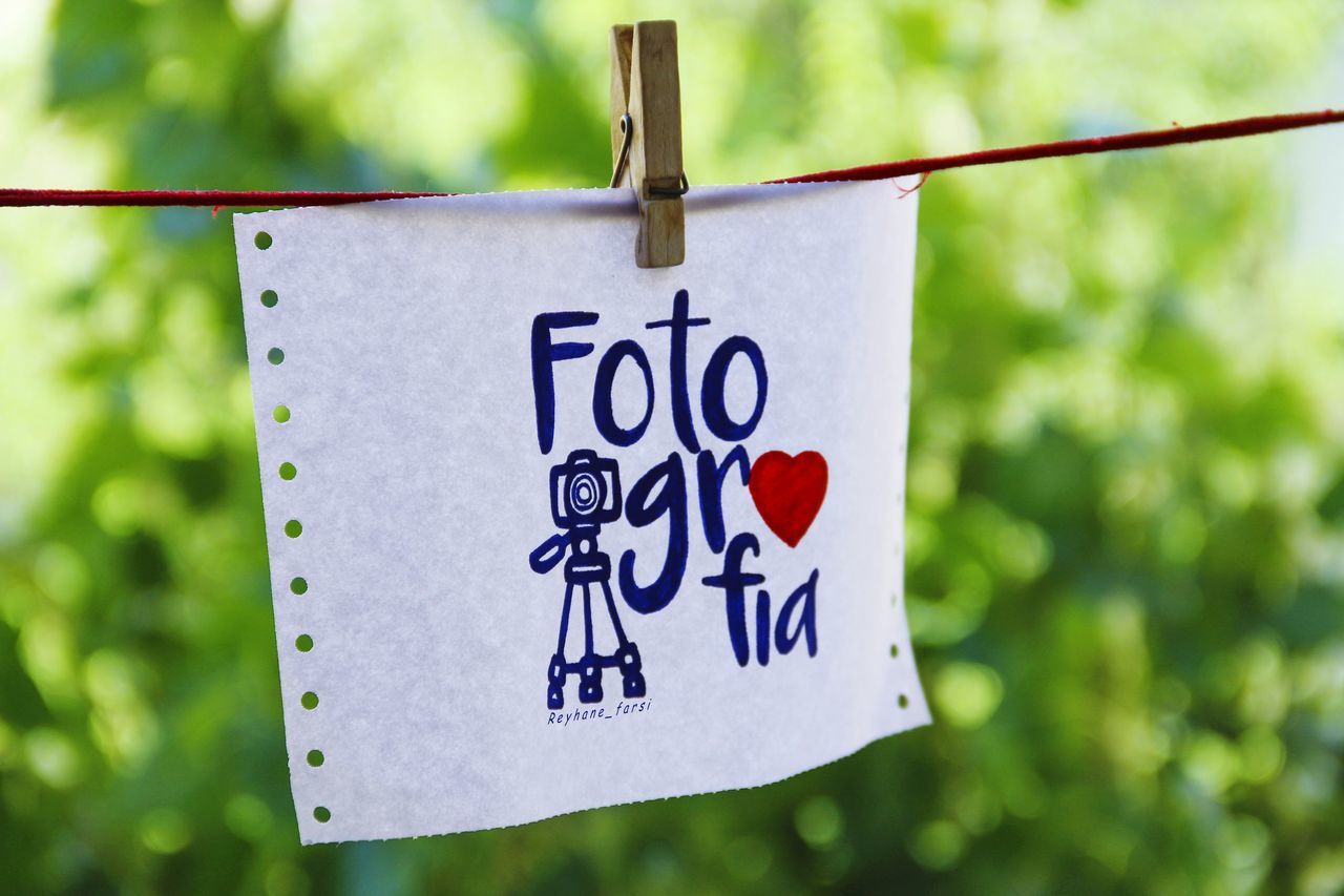 green, hanging, communication, focus on foreground, sign, no people, text, heart shape, nature, day, close-up, outdoors, clothespin, emotion, western script, message