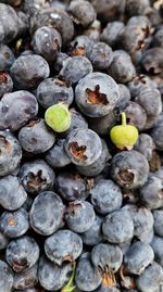 Full frame shot of blueberries