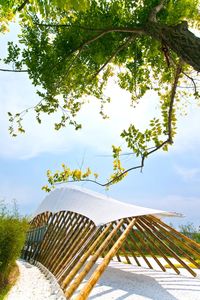 Low angle view of plants against sky