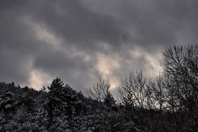 Low angle view of bare trees against cloudy sky