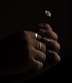 Close-up of hand holding flower over black background