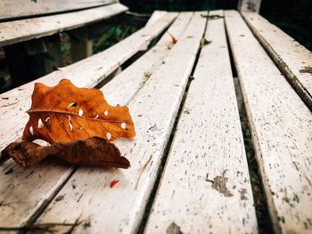 Close-up of dry leaf on wood